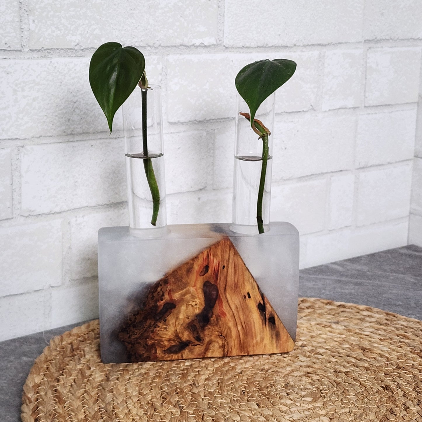 Live Edge Red Maple and Resin 2 Plant Propagation Station / Vase - Rare Find