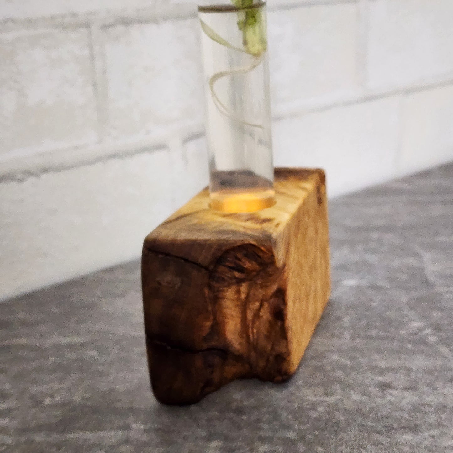 Live Edge Curly Maple 1 Plant Propagation Station / Vase