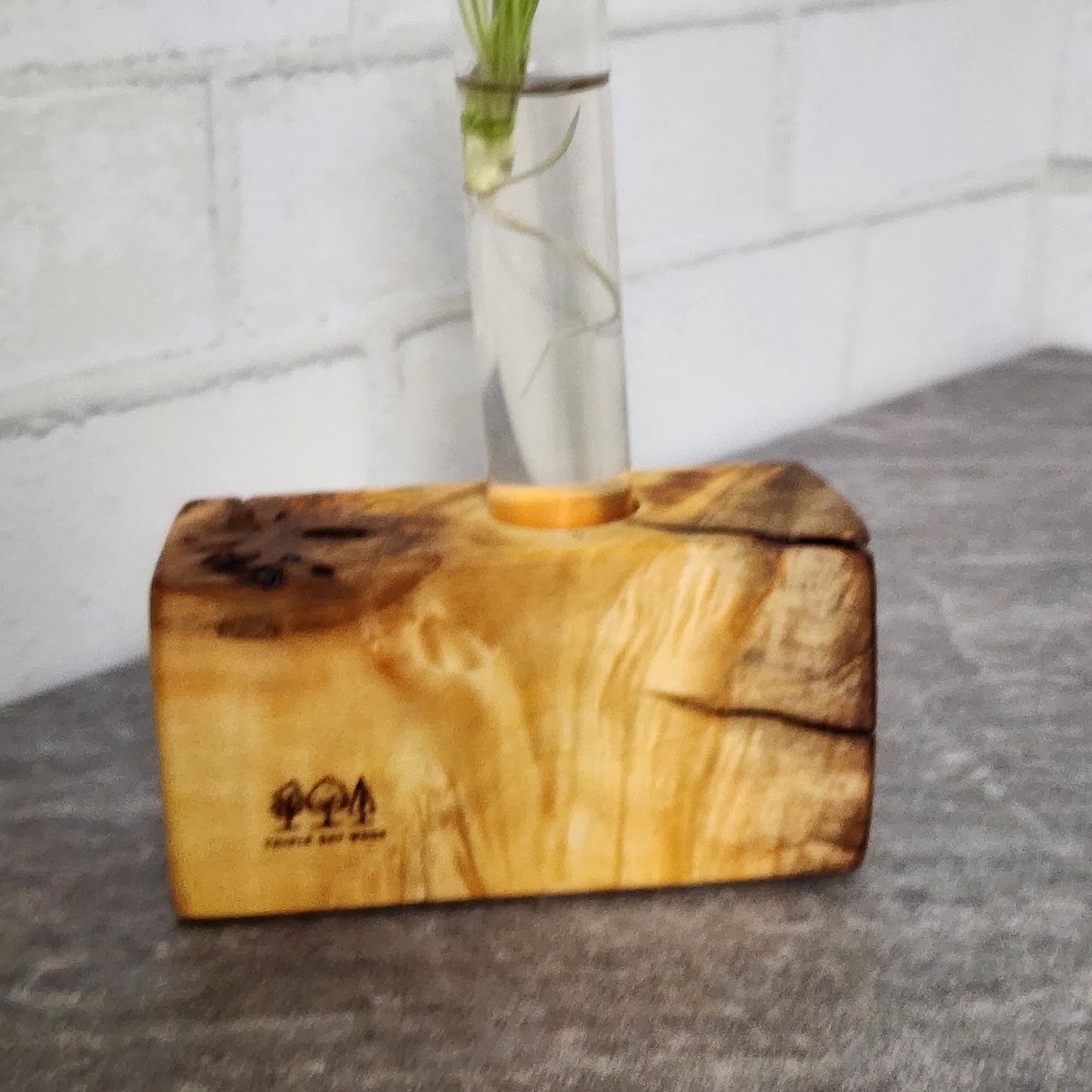 Live Edge Curly Maple 1 Plant Propagation Station / Vase