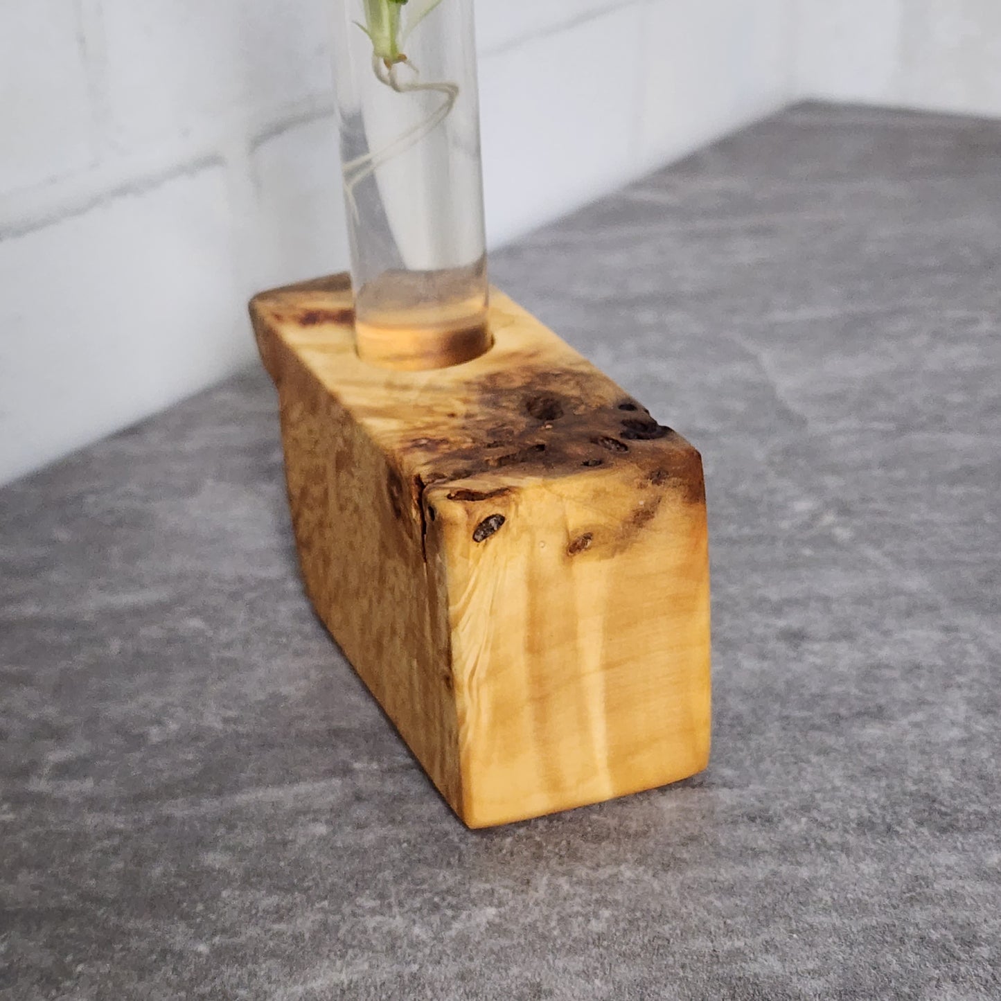 Live Edge Curly Maple 1 Plant Propagation Station / Vase