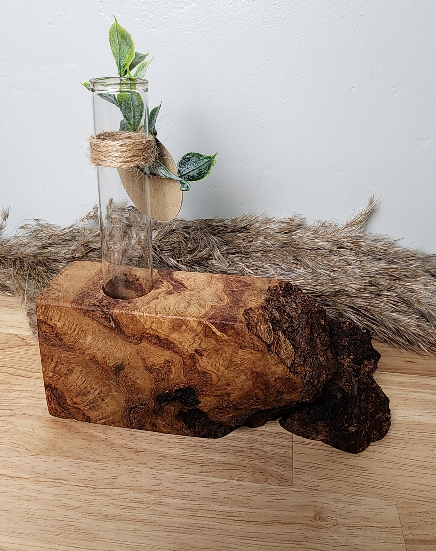 Live Edge Curly Maple 1 Plant Propagation Station / Vase