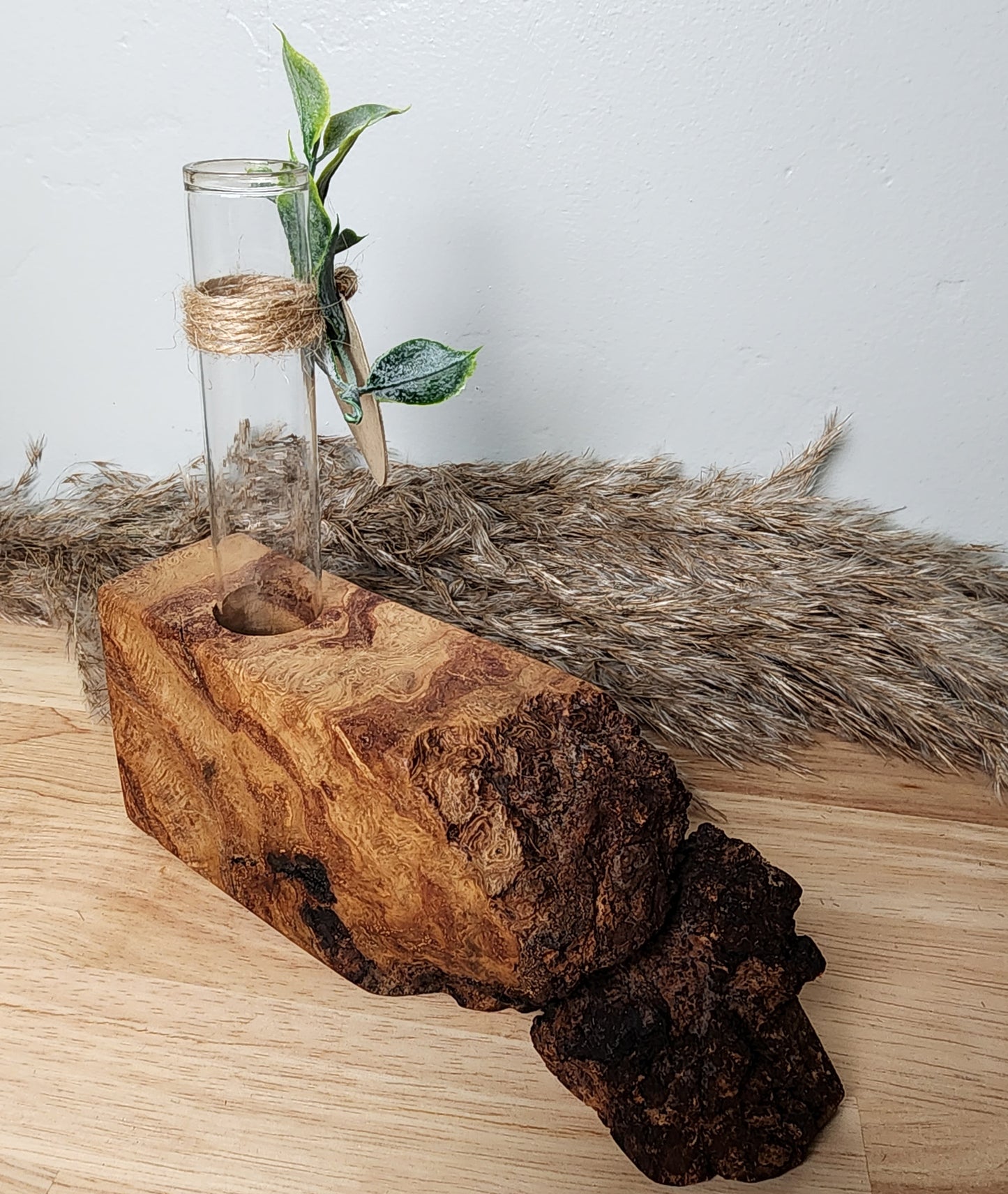 Live Edge Curly Maple 1 Plant Propagation Station / Vase