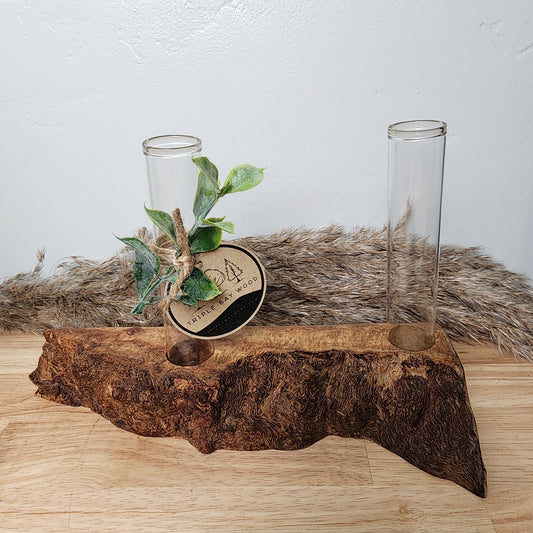 Live Edge Curly Maple 2 Plant Propagation Station / Vase